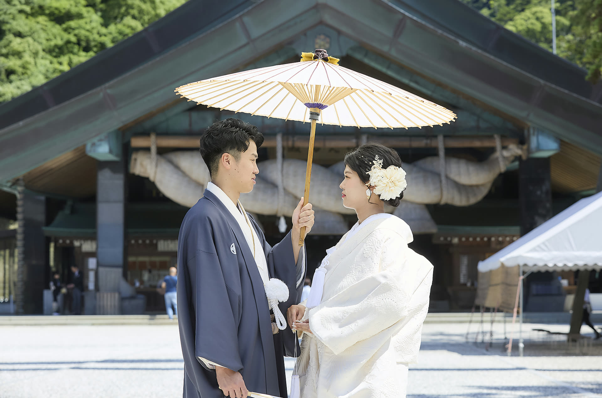 平日限定プラン